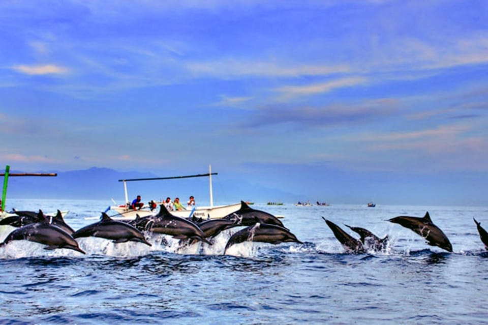 Nort of bali : Lovina beach, git-git waterfalls,aling aling waterfalls,ulun danu temple  Image